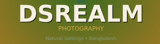 DSRealm Photography